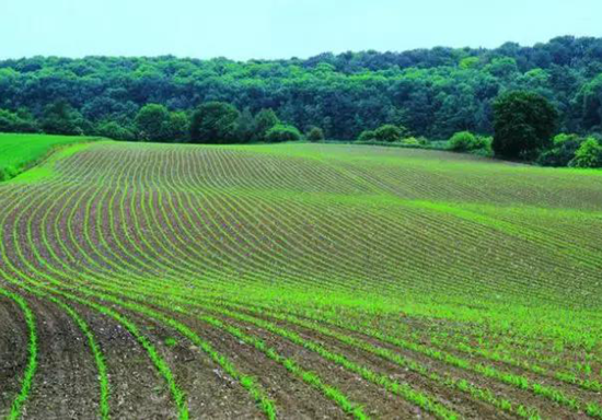 節水智能灌溉 節水智能灌溉